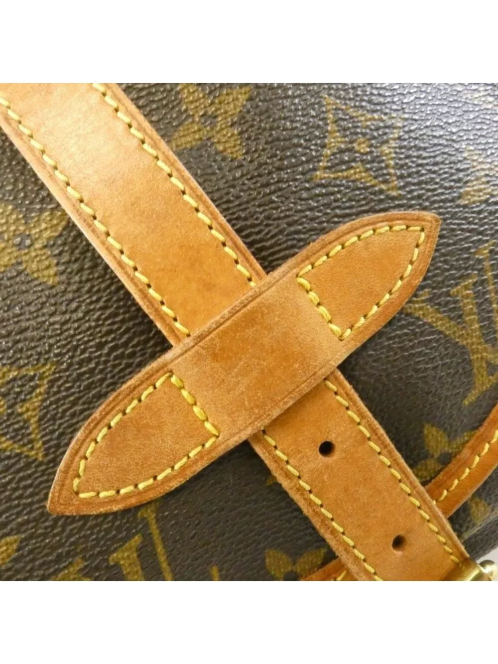 Louis Vuitton Monogram Saumur 30 Crossbody